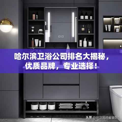 哈尔滨卫浴公司排名大揭秘,优质品牌,专业选择!