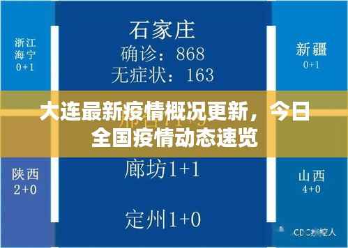 大连最新疫情概况更新,今日全国疫情动态速览