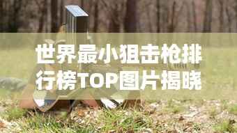 世界最小狙击枪排行榜TOP图片揭晓!