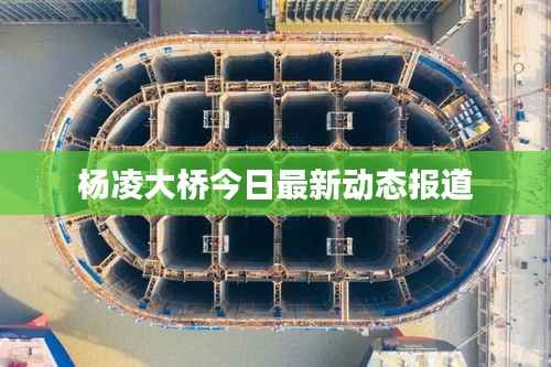 杨凌大桥今日最新动态报道