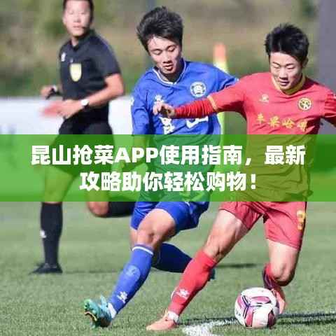 昆山抢菜APP使用指南，最新攻略助你轻松购物！