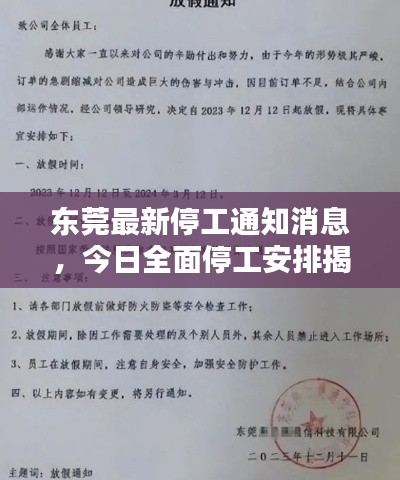 东莞最新停工通知消息,今日全面停工安排揭秘