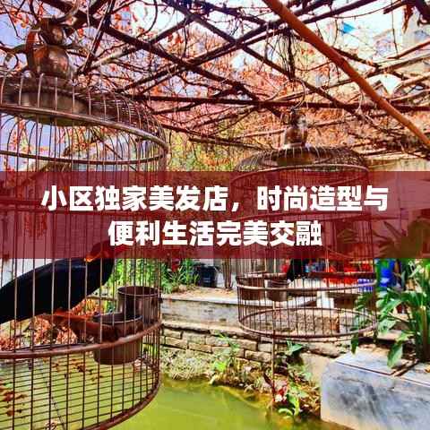 小区独家美发店，时尚造型与便利生活完美交融