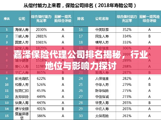 嘉泽保险代理公司排名揭秘,行业地位与影响力探讨