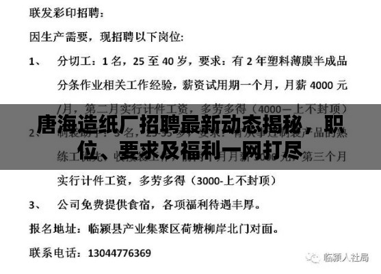 唐海造纸厂招聘最新动态揭秘,职位、要求及福利一网打尽