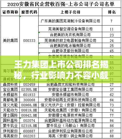 王力集团上市公司排名揭秘,行业影响力不容小觑