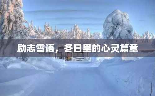 励志雪语,冬日里的心灵篇章