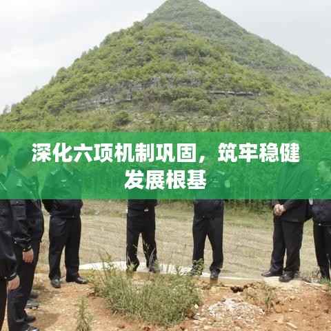 深化六项机制巩固,筑牢稳健发展根基