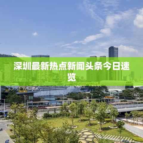 深圳最新热点新闻头条今日速览