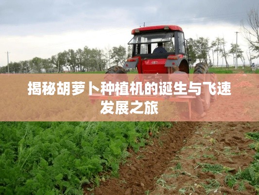 揭秘胡萝卜种植机的诞生与飞速发展之旅