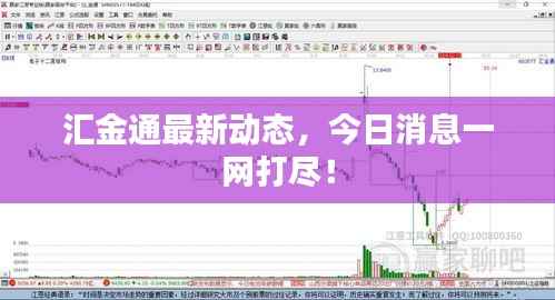 汇金通最新动态,今日消息一网打尽!