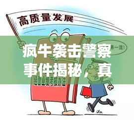 疯牛袭击警察事件揭秘,真相与应对策略