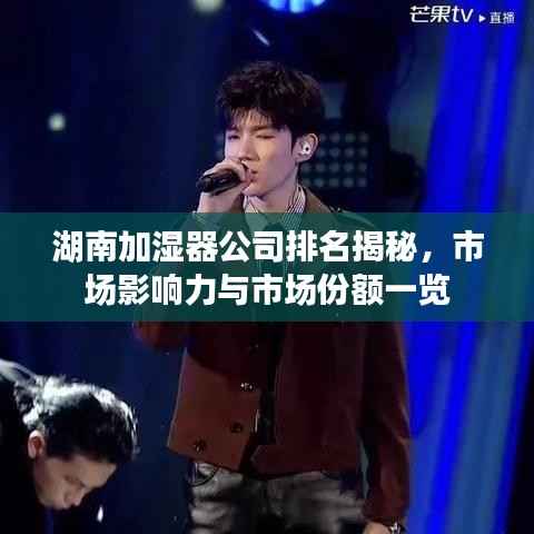 湖南加湿器公司排名揭秘，市场影响力与市场份额一览