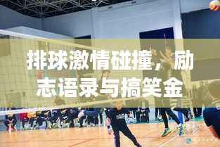 排球激情碰撞，励志语录与搞笑金句交织的篇章