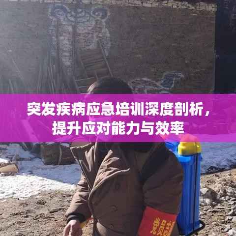 突发疾病应急培训深度剖析，提升应对能力与效率