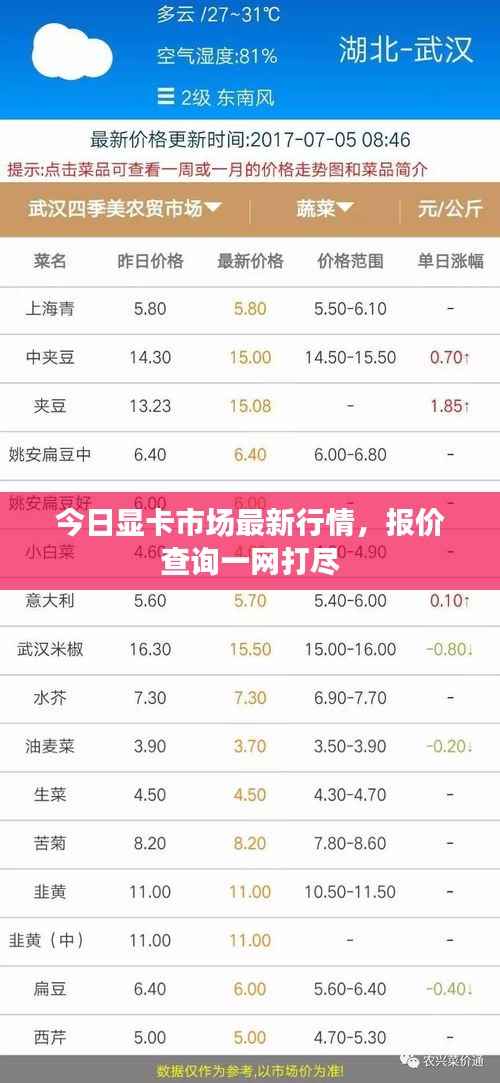 今日显卡市场最新行情,报价查询一网打尽