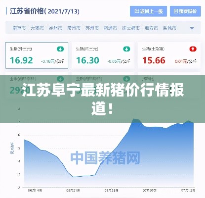 江苏阜宁最新猪价行情报道!