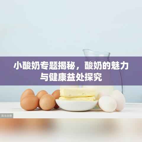 小酸奶专题揭秘，酸奶的魅力与健康益处探究