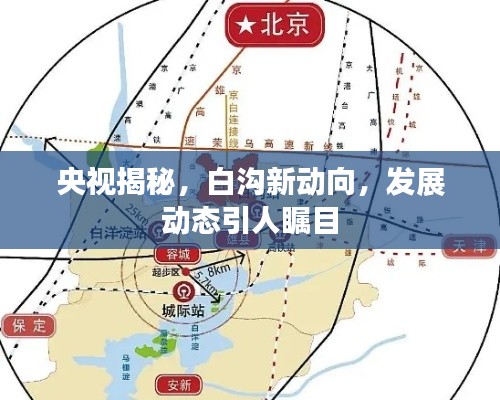央视揭秘,白沟新动向,发展动态引人瞩目