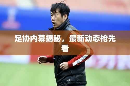 足协内幕揭秘,最新动态抢先看
