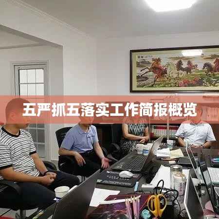五严抓五落实工作简报概览