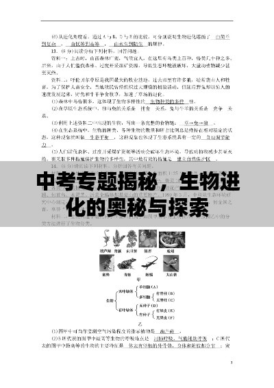 中考专题揭秘,生物进化的奥秘与探索