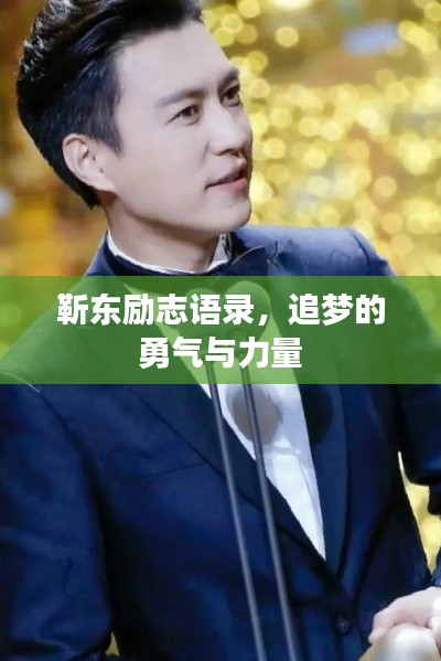 靳东励志语录,追梦的勇气与力量