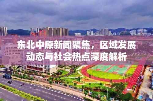 东北中原新闻聚焦,区域发展动态与社会热点深度解析