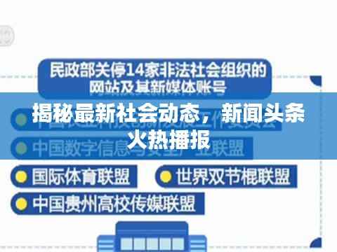 揭秘最新社会动态,新闻头条火热播报