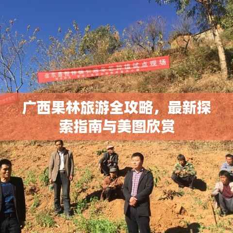 广西果林旅游全攻略,最新探索指南与美图欣赏